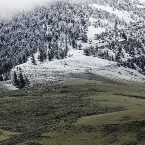 Prognoza meteo în Transilvania și pe întreg teritoriul țării până la 2 martie