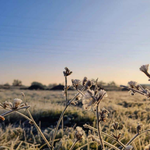 Vremea de weekend în Alba