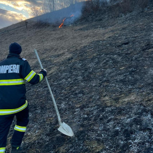 FOTO: Incendiu de vegetație uscată în Certege, Câmpeni. Pompierii au stins focul înainte să se extindă la zonele din apropiere