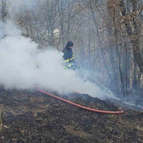 Incendiu de vegetație uscată în Abrud