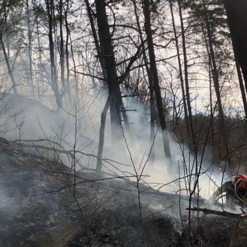 FOTO-VIDEO: Incendiu de pădure și vegetație la Valea Mare, comuna Ceru Băcăinți. Intervin pompierii, SVSU și personal silvic