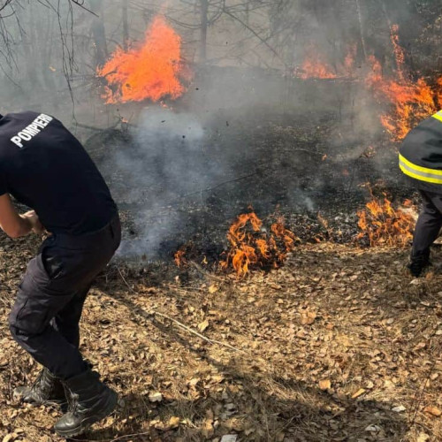 Incendiu de vegetație în zona Rimetea