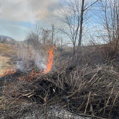 Incendiu de vegetație în județul Alba