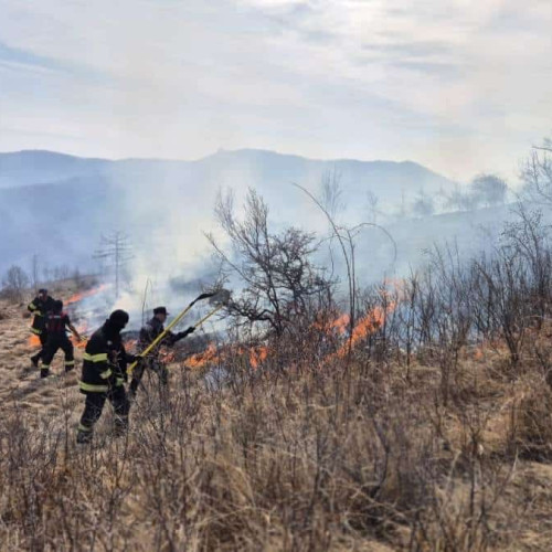 Incendii de vegetație și pădure în județul Alba