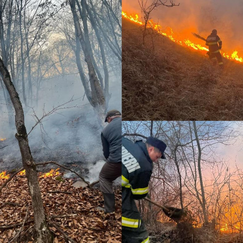 13 incendii de vegetație și pădure în județul Alba