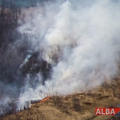 Autoritățile din Alba iau măsuri împotriva incendiilor de vegetație