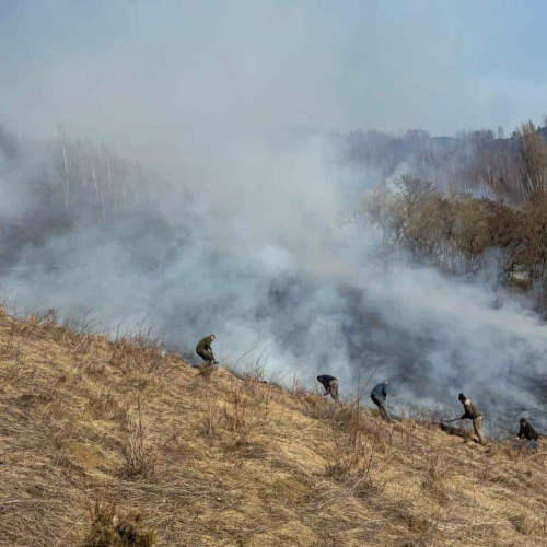 Pompierii din Alba acționează pentru stingerea incendiilor de vegetație