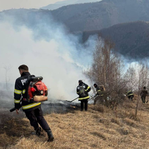 Incendii devastatoare în Alba: peste 250 de hectare distruse