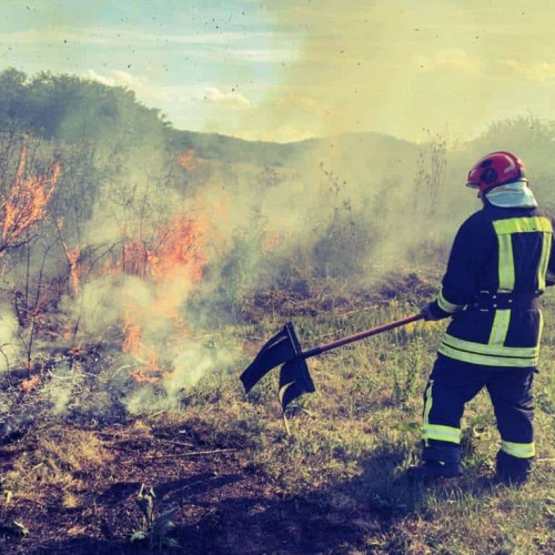 Intervenții continue pentru stingerea incendiilor de vegetație în județul Alba