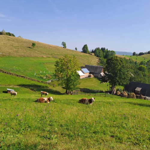 Ministerul Agriculturii extinde termenul pentru cererile de plată