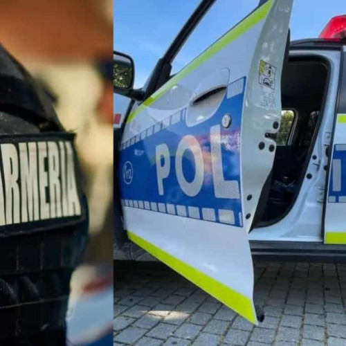 Măsuri de verificare a maşinilor și persoanelor în Alba