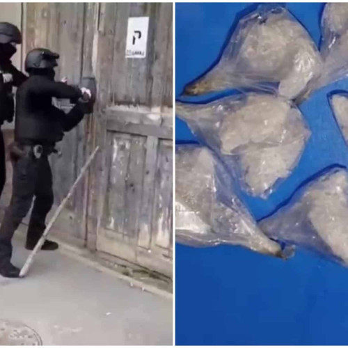 Trei persoane, suspectate de trafic de droguri de mare risc în Alba Bihor, au fost reținute după o amplă operațiune