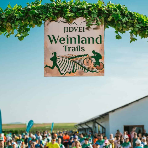 Jidvei Weinland Trails - Spring Running la Jidvei a atras peste 1000 de participanți