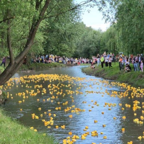 Peste 2000 de rațe au fost lansate pe râul Ampoi, sâmbătă după-amiază, într-un eveniment caritabil menționat de alba24.ro, organizat pentru a sprijini secția de recuperare a Spitalului Județean de Urgență din Alba Iulia. Acest eveniment a adus divertisment atât pentru copii, cât și pentru familiile lor, potrivit sursei.