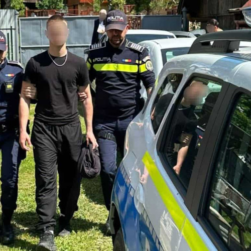Un tânăr de 18 ani, reținut de poliție după ce a provocat un incendiu în comuna Salciua, distrugând două autoutilitare
