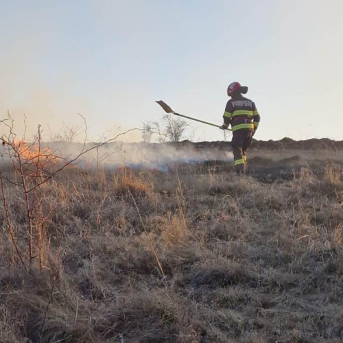 Incendiu de vegetație uscată între Balomiru de Camp și Tartaria
