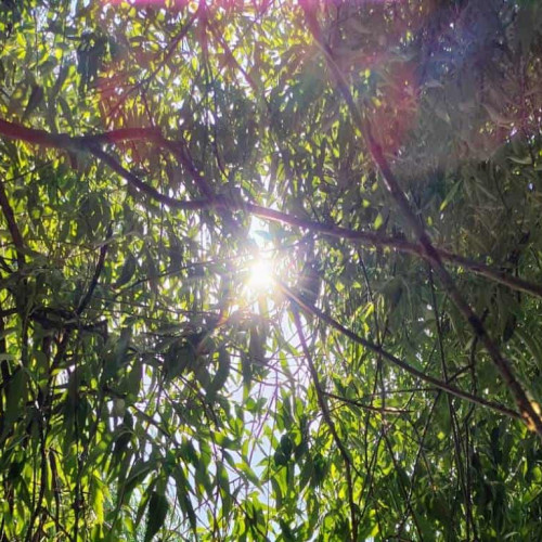 Vremea de weekend în Alba, 6-8 iunie: Temperaturile vor continua să fie foarte ridicate