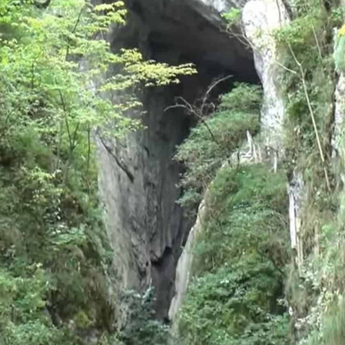 Image Description