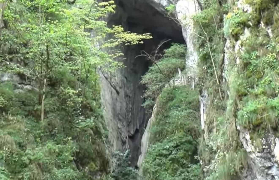 Image Description