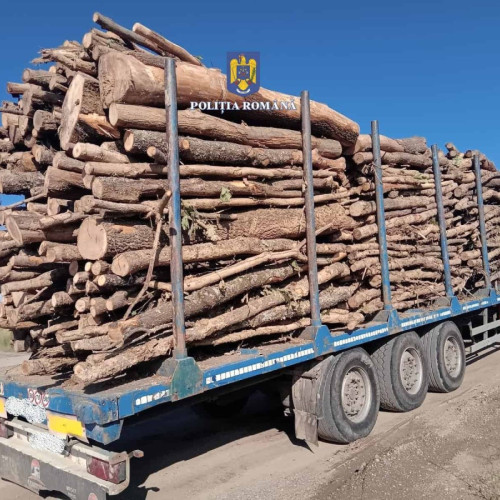 Lemn în valoare de aproape 80.000 de lei confiscat și controale în trafic în Alba. Acțiune a Poliției și Gărzii Forestiere