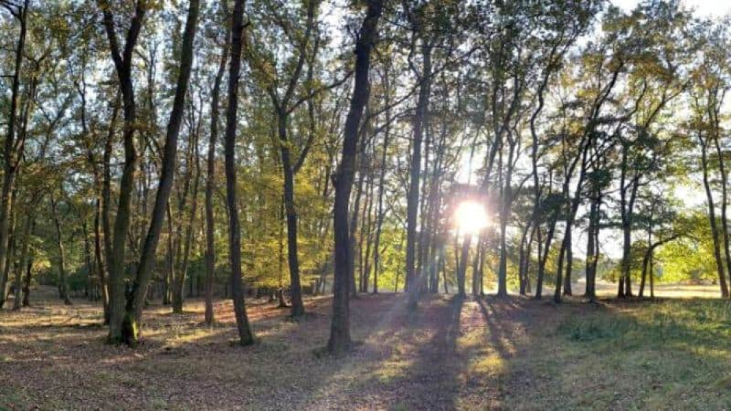 Vremea în Alba: temperaturi în creștere și cer dominant senin în weekend